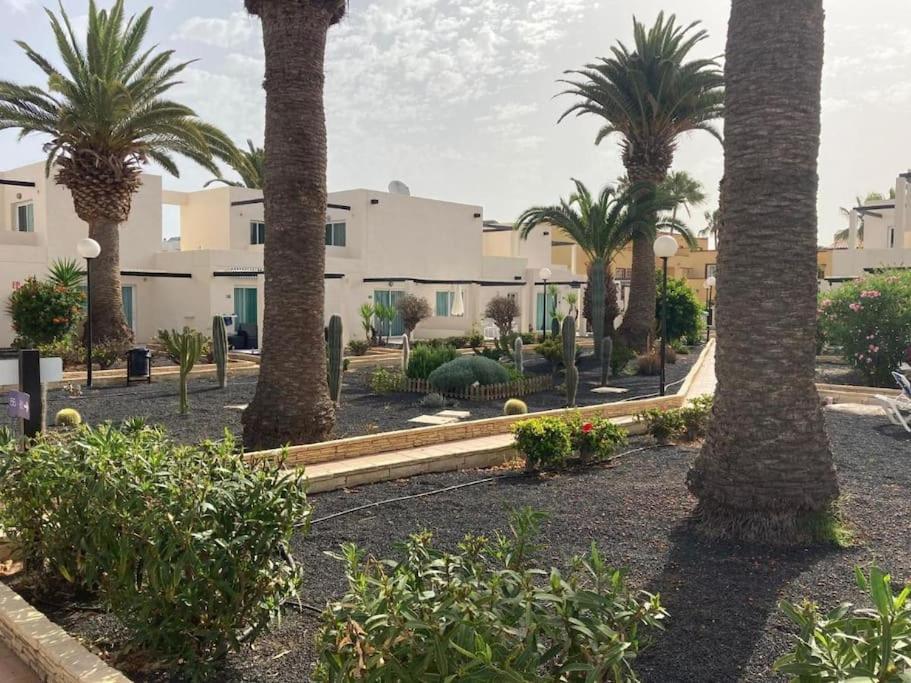 Corralejo Suite Pool & Gardens - Alisios Playa Eksteriør billede