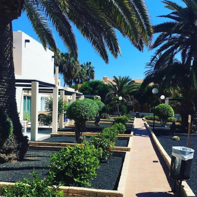 Corralejo Suite Pool & Gardens - Alisios Playa Eksteriør billede